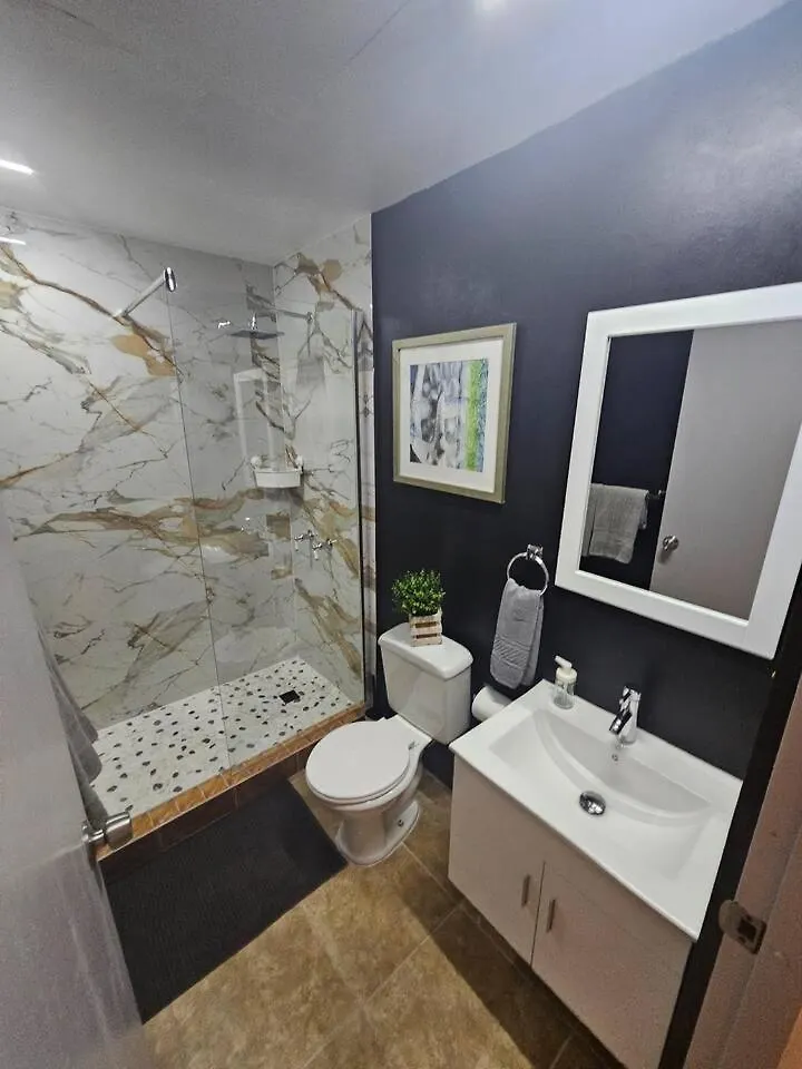 Santurce Studios Near La Placita 5 サンジョアン アパート